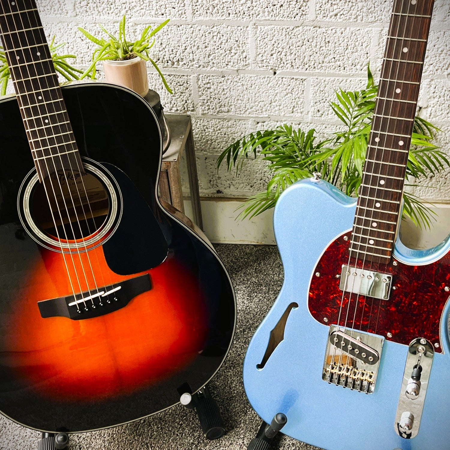 Starter & Everyday Instruments