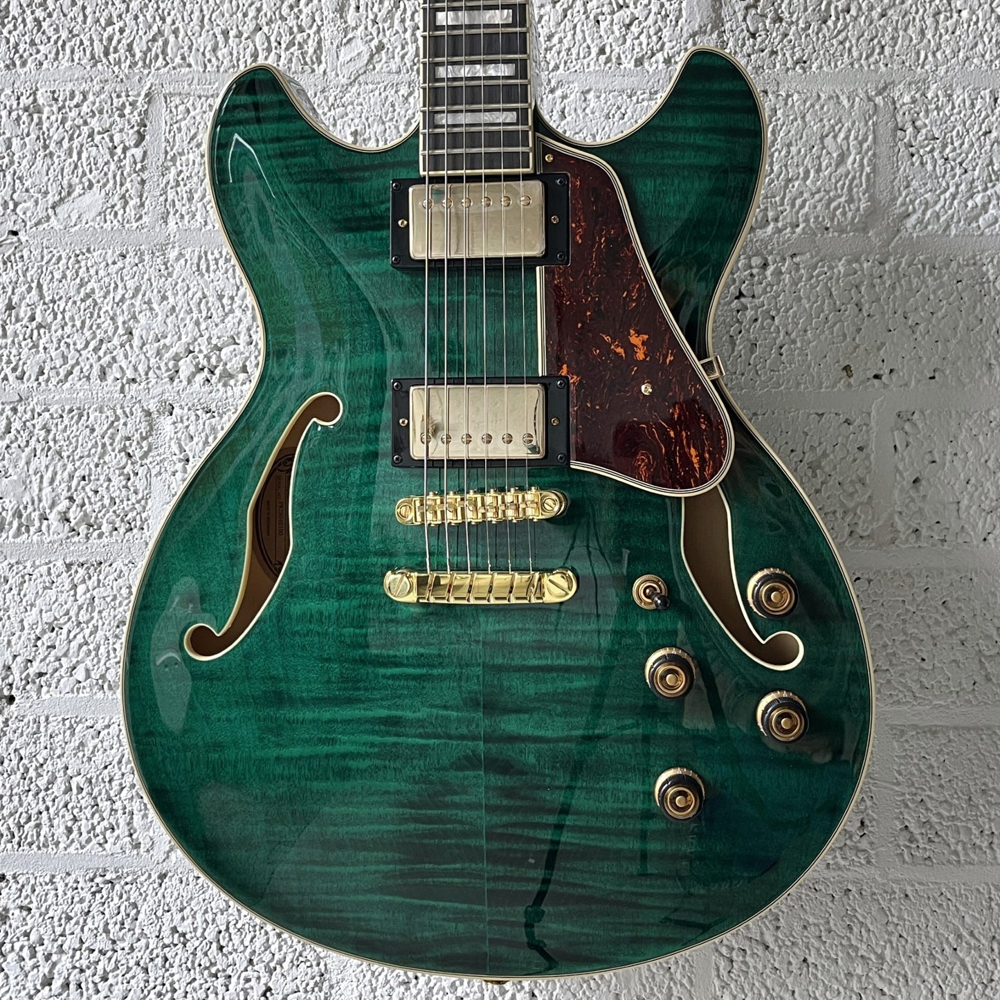 ibanez as93fm transparent moss green semi-hollow electric guitar body closeup